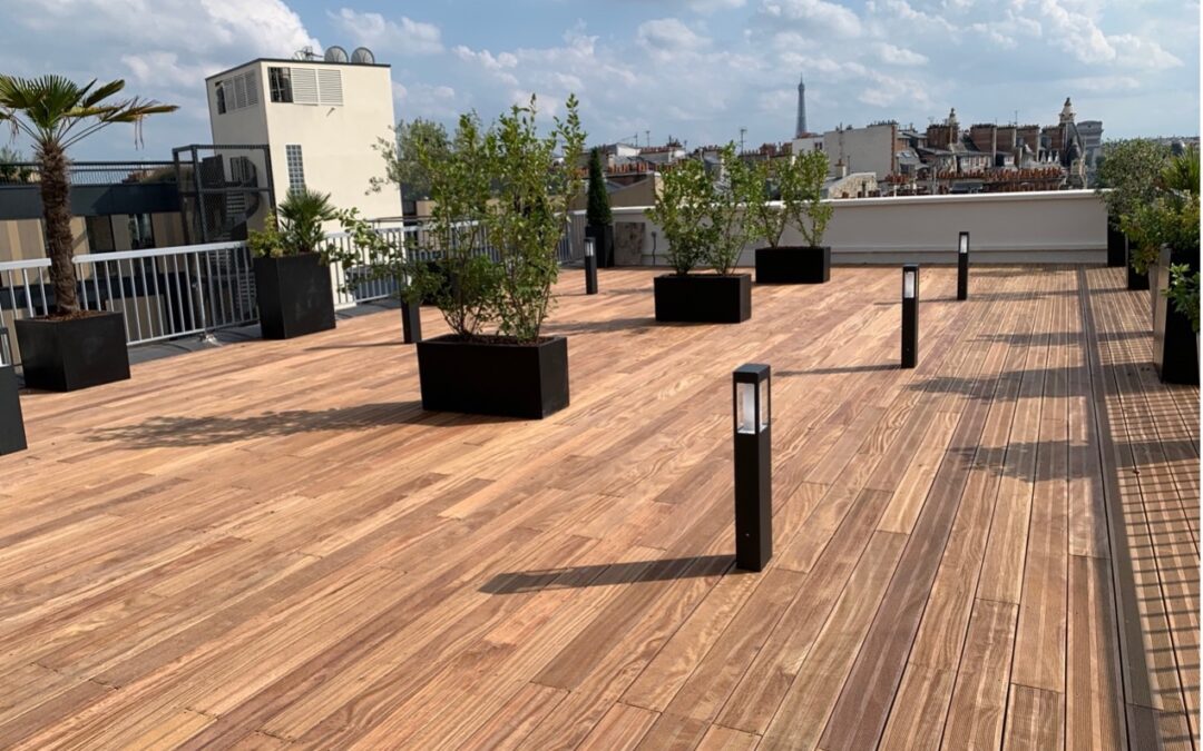 Pour CNP Assurances, AHRPE rénove 4 plateaux de bureaux et 2 terrasses sur la prestigieuse avenue Wagram à Paris